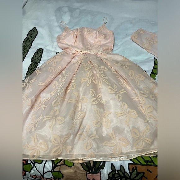 1950s/60s Union Label burnt out velvet Lolita style dress - Picture 13 of 15